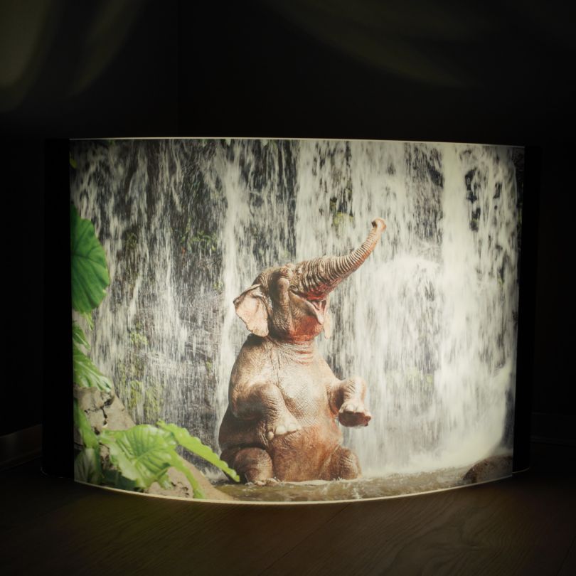 Geschenkidee Foto Licht